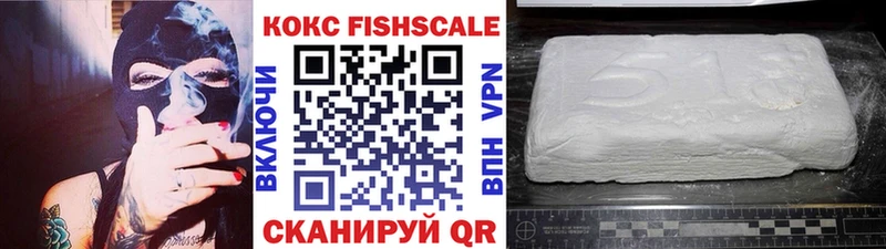 купить наркоту  Заволжск  COCAIN FishScale 