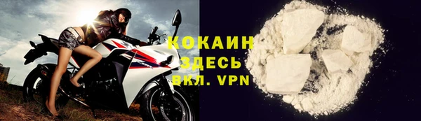 спайс Алексин