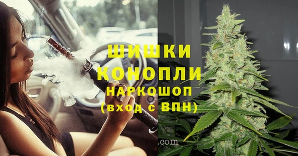 дживик Алзамай