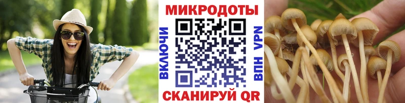 Псилоцибиновые грибы Psilocybine cubensis Заволжск